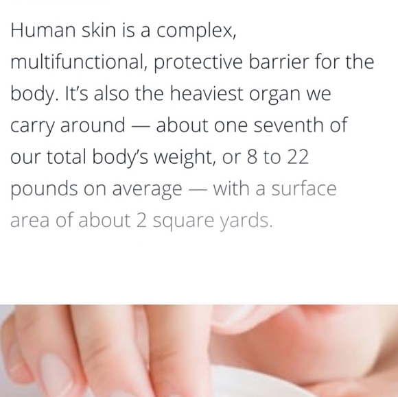 Cucumber Melon Body Lotion - Picture 6 of 8